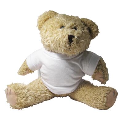 Soft Toy - Shaggy Bear Thumbnail